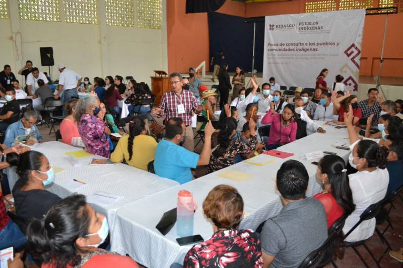 Consulta a pueblos originarios avanza en 14 municipios