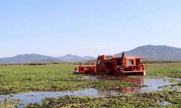 Avanza 76% la limpieza en laguna de Tecocomulco