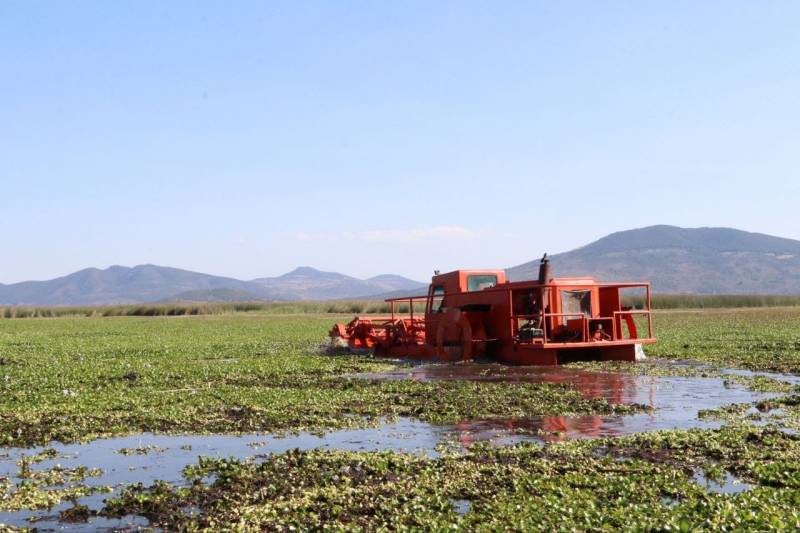 Avanza 76% la limpieza en laguna de Tecocomulco