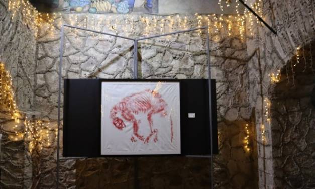 Abierta, exposición artística “Mirada de Jaguar”