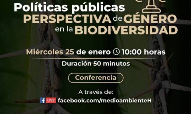Anuncian actividades para el Día de la Educación Ambiental