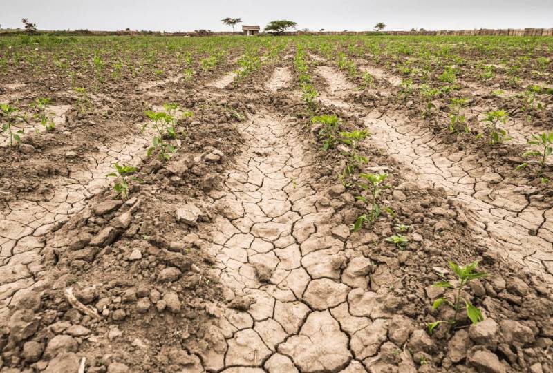 Campesinos podrían ser indemnizados por sequías
