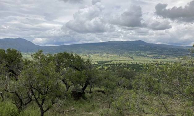 Cumplen la Paila y el Xihuingo 14 años como Áreas Naturales Protegidas