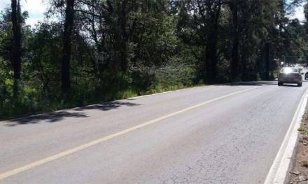 Reforestarán carretera Real del Monte-Huasca