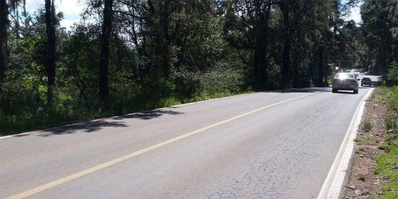 Reforestarán carretera Real del Monte-Huasca