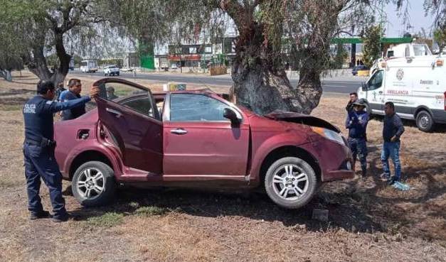 Conductor se impacta contra árbol