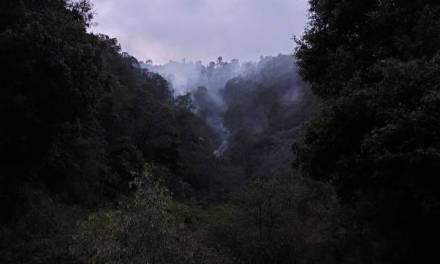 Atienden incendio en Parque Nacional Los Mármoles
