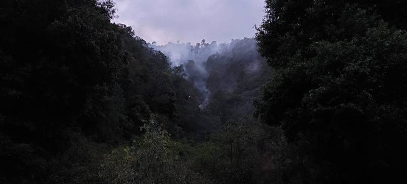Atienden incendio en Parque Nacional Los Mármoles