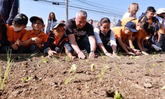 Siembran en el Huerto Urbano Comunitario de Pachuca