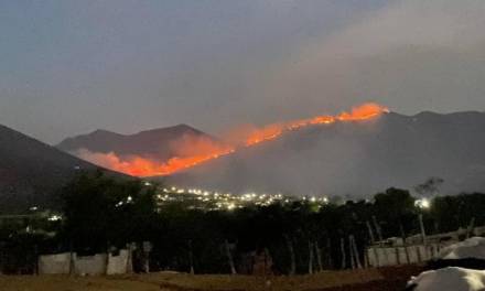Se propaga incendio forestal en Ixmiquilpan