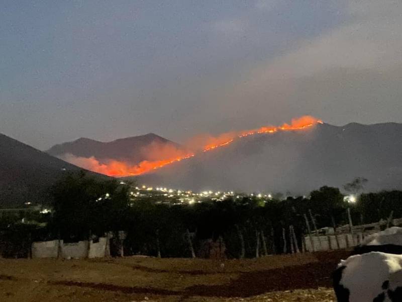 Se propaga incendio forestal en Ixmiquilpan