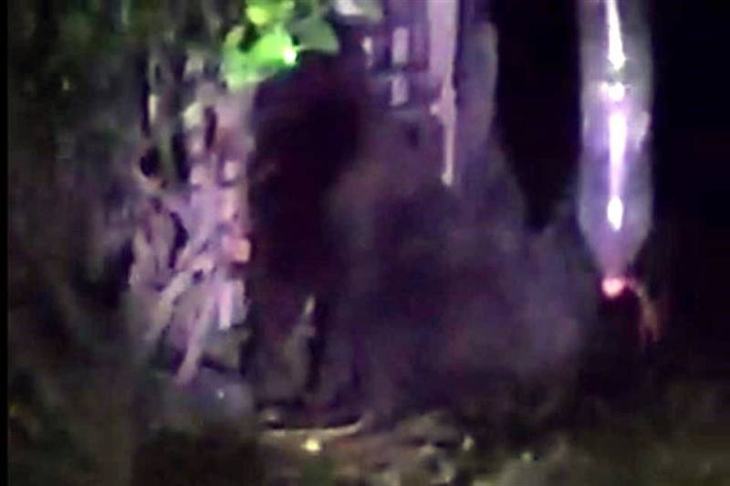 Con drones buscan a supuesto gorila en Villa de Tezontepec