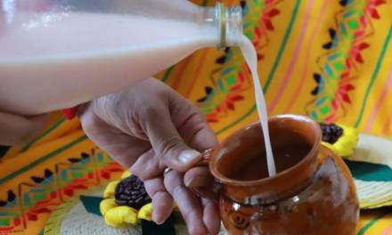 Festival del Pulque, este fin de semana en Chilcuautla