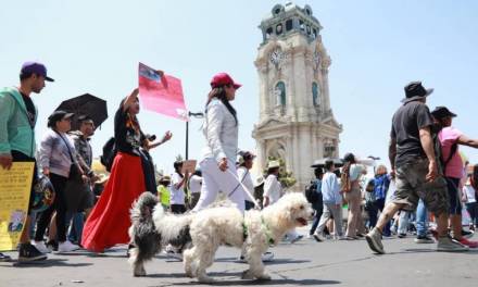 Marchan contra del maltrato animal en Pachuca