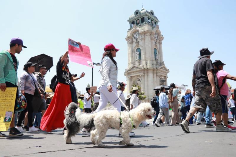 Marchan contra del maltrato animal en Pachuca