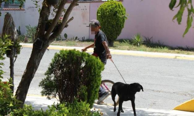 Legisladores van por más reformas para la protección de animales