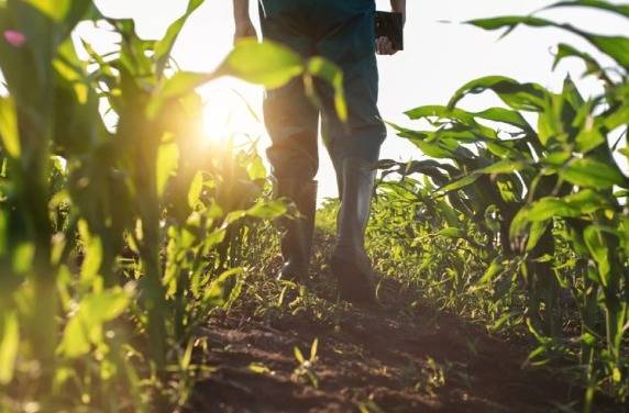 Unidades de producción agropecuaria activas han aumentado: Inegi