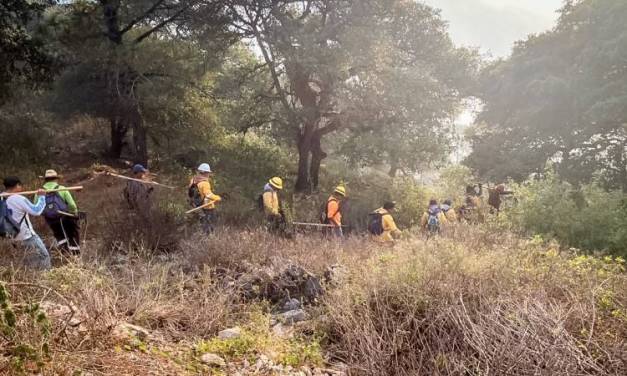 Brigadas logran controlar 30 % del incendio en Nicolás Flores