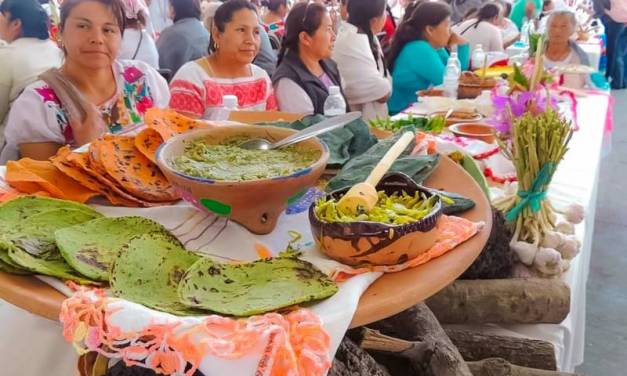 Buscan incluir a San Agustín Tlaxiaca, en la “La Cultura del Maguey”