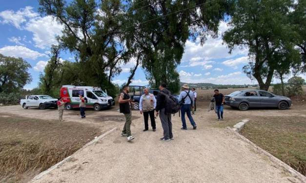 Continúan con la búsqueda del gorila