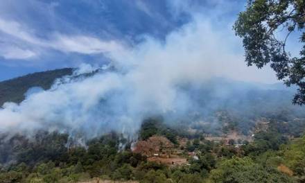 Incendio forestal en Nicolás Flores sigue activo