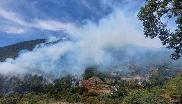 Incendio forestal en Nicolás Flores sigue activo