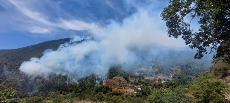 Incendio forestal en Nicolás Flores sigue activo