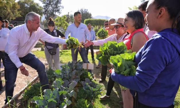 Realizan primera cosecha del Huerto Urbano en Pachuca