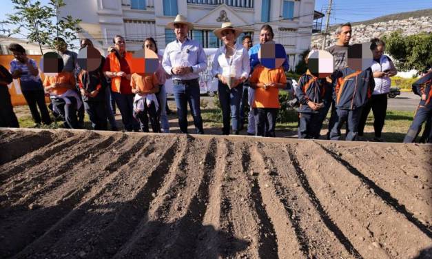 Inicia siembra de cempasúchil en huerto urbano de Pachuca