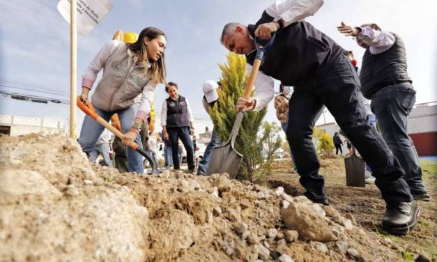 Pachuca realizará reforestación por el Día Mundial del Árbol