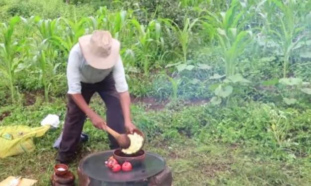 Establecerían Día del campesino en reconocimiento a su labor