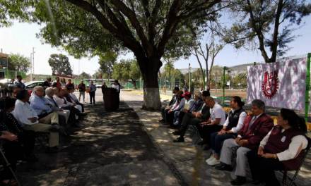 Piden protección de árbol histórico en Pachuca