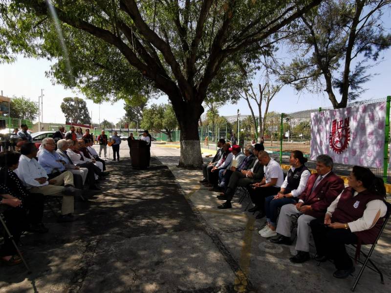 Piden protección de árbol histórico en Pachuca