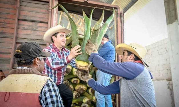 Entregan semilla y árboles frutales en el Valle del Mezquital