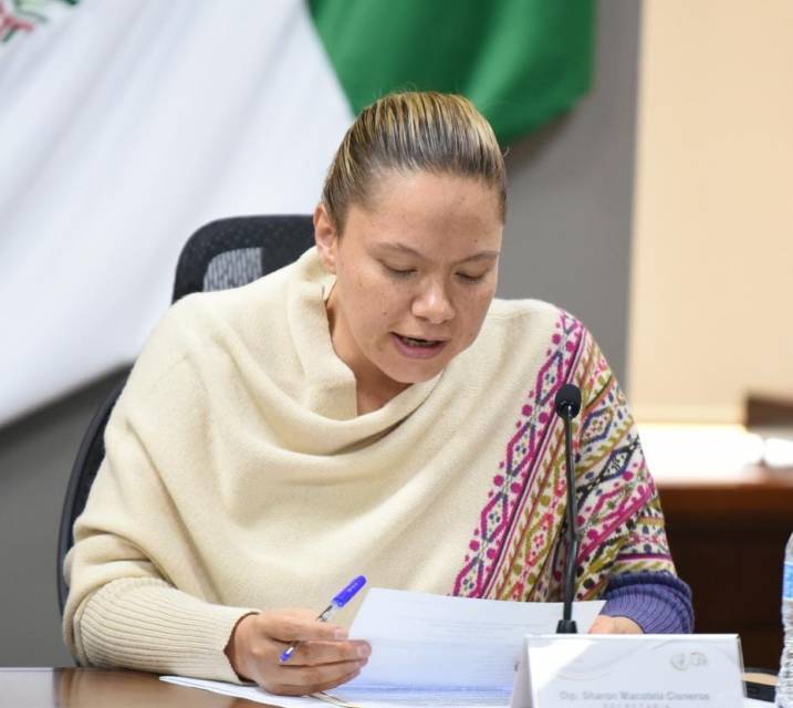 Diputada pide aplicar con rigor la ley contra alcalde de Tula