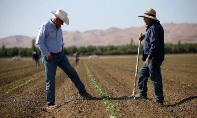 Congreso local monitorea ejecución de programas del campo