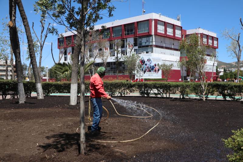 Semarnath reforesta Jardín de los Hombres Ilustres