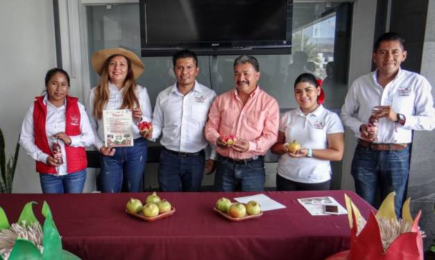 Anuncian Festival Cultural Estatal de la Granada en Tasquillo