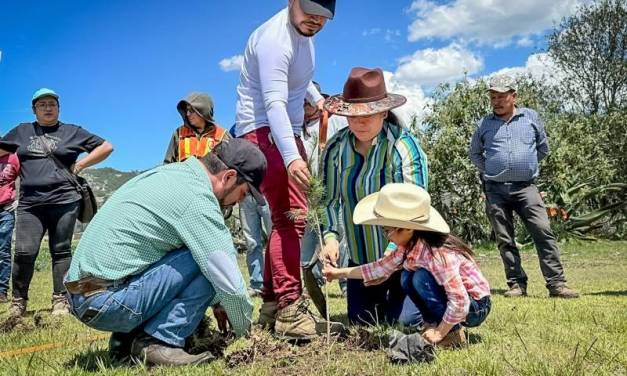 Concluye jornada de reforestación en Geoparque Comarca Minera