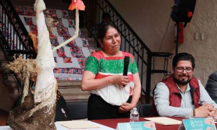 Anuncian la octava edición del Festival del Hongo 2023 en Acaxochitlán