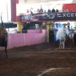 Rancho RG2 se lleva el Circuito Excelencia Charra 2023