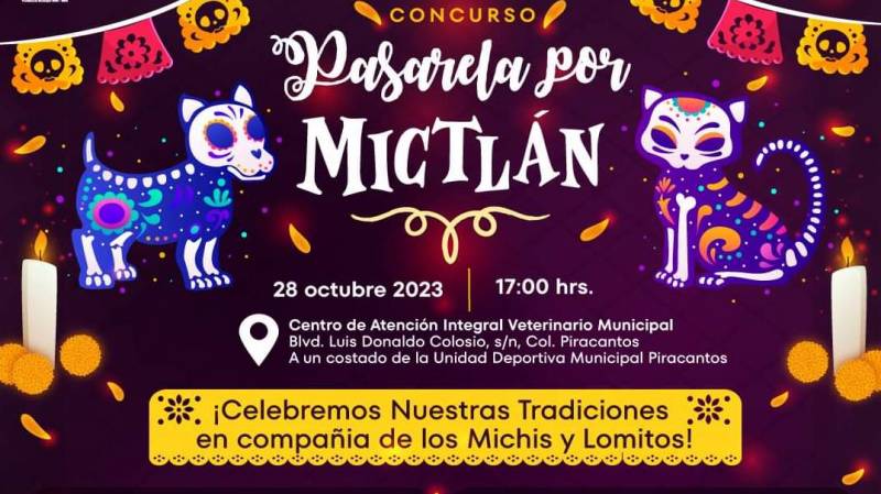 Alistan en Pachuca concurso de disfraces “Pasarela por Mictlán”