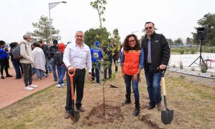 Pachuca y Tecnológico de Monterrey reforestan 200 árboles