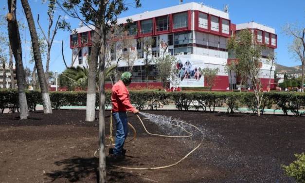 Establecen obligatoriedad de la conservación y preservación del arbolado urbano