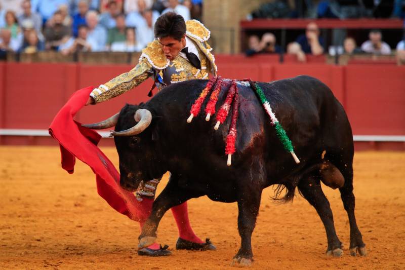 Regresan las corridas de toros a la Plaza México