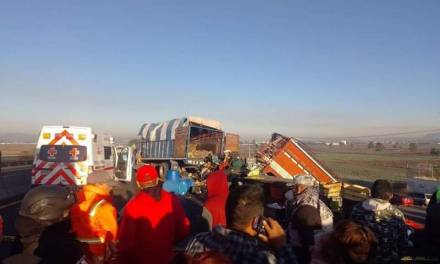 Accidente en Circuito Exterior Mexiquense deja 7 muertos
