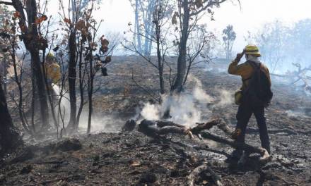Diputados proponen tipificar el delito de incendio forestal