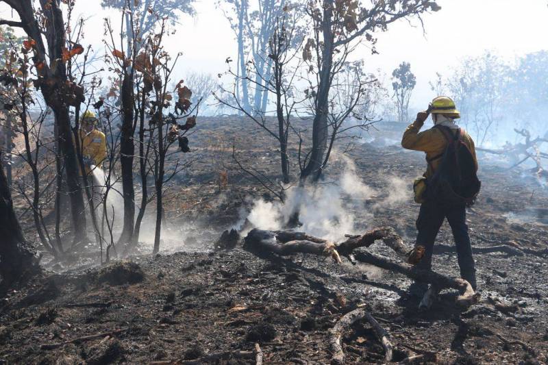 Diputados proponen tipificar el delito de incendio forestal