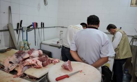 Destruyen 3 mil kilos de pollo que no cumplían normatividad sanitaria