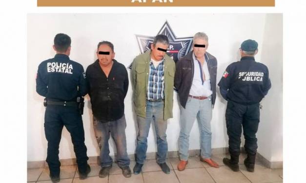 Policías recuperan ganado robado y detienen a 3 en Apan